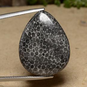 Corail Multicolore naturelle En forme de poire, 22.48 ct, Opaque