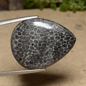 Corail Multicolore naturelle En forme de poire, 22.48 ct, Opaque