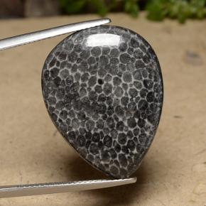 Corail Multicolore naturelle En forme de poire, 22.48 ct, Opaque