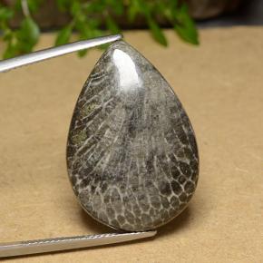 Corail Multicolore naturelle En forme de poire, 20.56 ct, Opaque