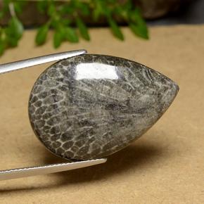 Corail Multicolore naturelle En forme de poire, 20.56 ct, Opaque