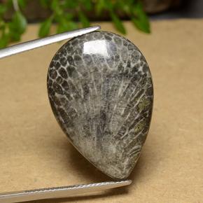 Corail Multicolore naturelle En forme de poire, 20.56 ct, Opaque