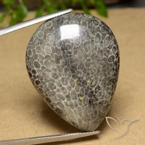 Corail Multicolore naturelle En forme de poire, 45.60 ct, Opaque