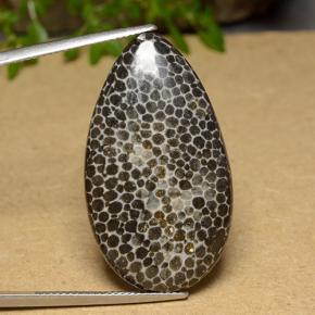 Corail Multicolore naturelle En forme de poire, 26.37 ct, Opaque