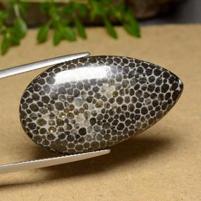 Corail Multicolore naturelle En forme de poire, 26.37 ct, Opaque