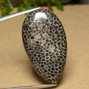 Corail Multicolore naturelle En forme de poire, 26.37 ct, Opaque