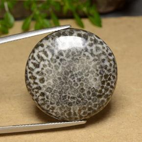 Corail multicolore naturelle coupe roude, 30,46 ct, opaque