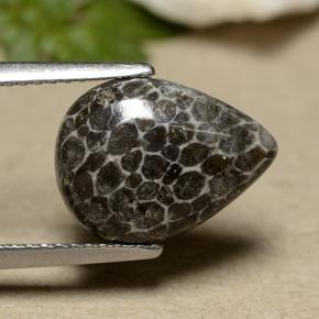 Corail Gris naturelle En forme de poire, 2.93 ct, Opaque