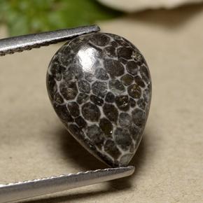 Corail Gris naturelle En forme de poire, 2.93 ct, Opaque