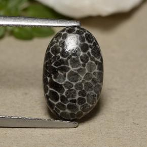Corail gris naturelle coupe ovale, 2,44 ct, opaque