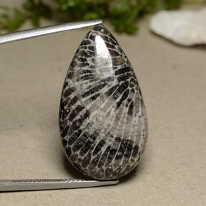 Corail gris naturelle en forme de poire, 24,91 ct, opaque