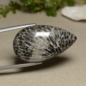 Corail gris naturelle en forme de poire, 24,91 ct, opaque