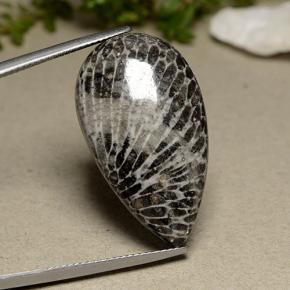 Corail gris naturelle en forme de poire, 24,91 ct, opaque