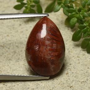 Corail Multicolore naturelle En forme de poire, 7.90 ct, Opaque