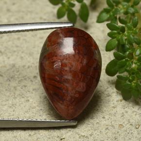 Corail Multicolore naturelle En forme de poire, 7.90 ct, Opaque