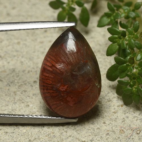 7.03ct Naturel Multicolore Corail, En forme de poire, Opaque