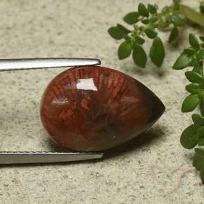 Corail Multicolore naturelle En forme de poire, 7.03 ct, Opaque