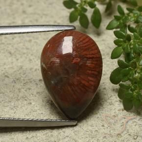 Corail Multicolore naturelle En forme de poire, 7.03 ct, Opaque