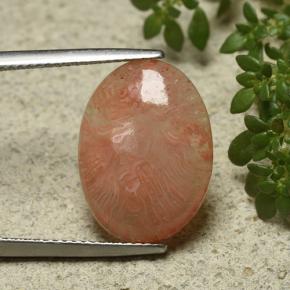 Corail multicolore naturelle coupe ovale, 6,55 ct, translucide