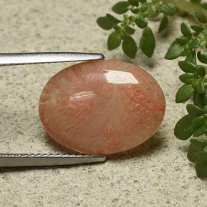 Corail multicolore naturelle coupe ovale, 6,55 ct, translucide