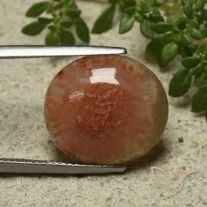 Corail Multicolore naturelle ovale, 9.34 ct, Translucide