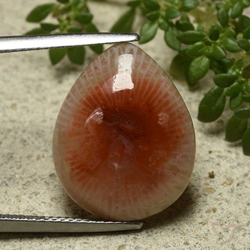 11.86ct Naturel Multicolore Corail, En forme de poire, Translucide