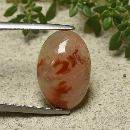 6.87ct Naturel Multicolore Corail, ovale, Translucide