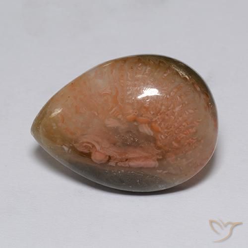 corail Multicolore naturelle En forme de poire, 9.60 ct, Translucide