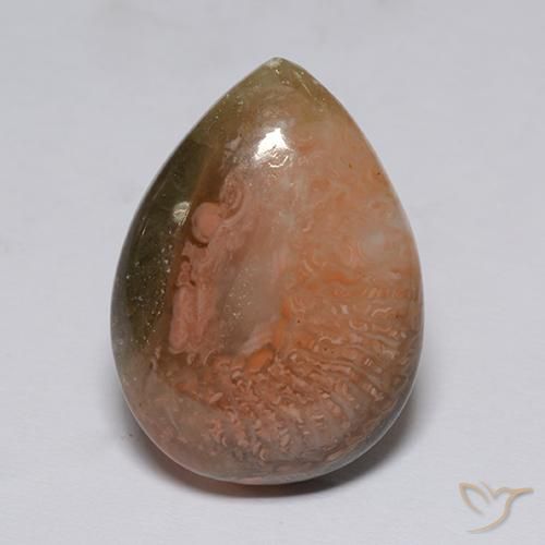 corail Multicolore naturelle En forme de poire, 9.60 ct, Translucide