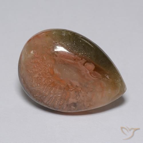 corail Multicolore naturelle En forme de poire, 9.60 ct, Translucide