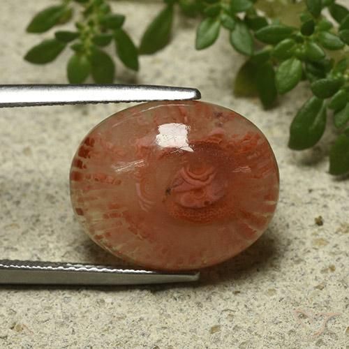 Corail Multicolore naturelle ovale, 9.87 ct, Translucide