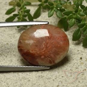 Corail Multicolore naturelle ovale, 9.58 ct, Translucide