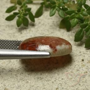 Corail Multicolore naturelle ovale, 9.58 ct, Translucide