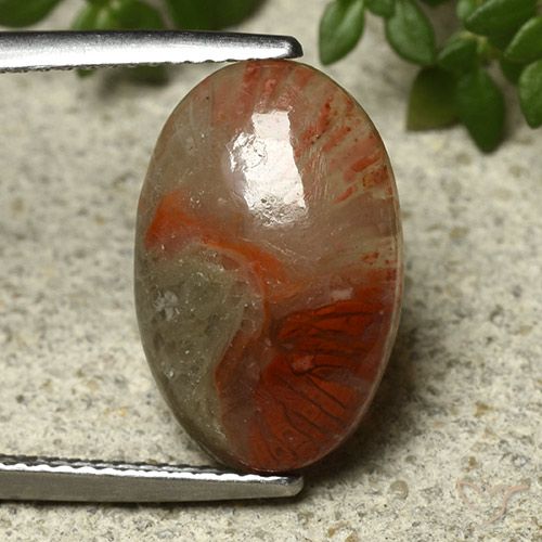 Corail multicolore naturelle coupe ovale, 5,91 ct, translucide