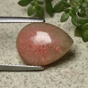 Corail Multicolore naturelle En forme de poire, 5.12 ct, Translucide