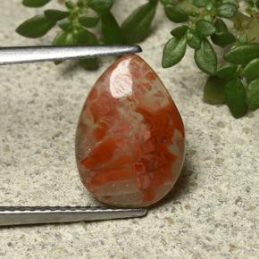 Corail Multicolore naturelle En forme de poire, 2.26 ct, Translucide