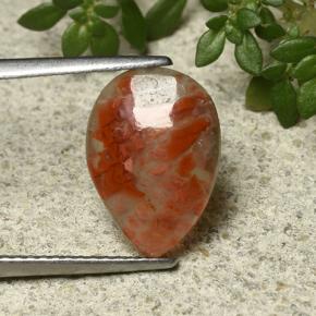 Corail Multicolore naturelle En forme de poire, 2.26 ct, Translucide