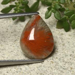 Corail Multicolore naturelle En forme de poire, 3.31 ct, Opaque
