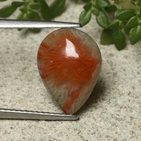 Corail Multicolore naturelle En forme de poire, 3.31 ct, Opaque