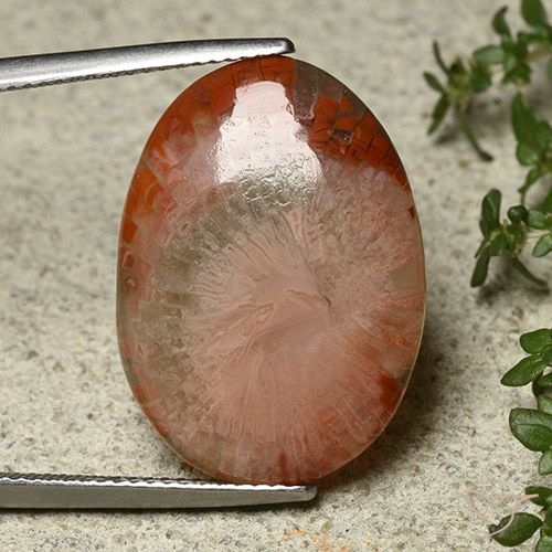 12.10ct Naturel Multicolore Corail, ovale, Translucide