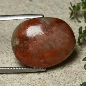 Corail Multicolore naturelle ovale, 14.74 ct, Opaque