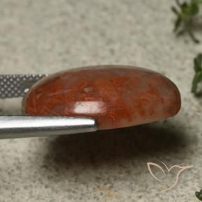Corail Multicolore naturelle ovale, 14.74 ct, Opaque