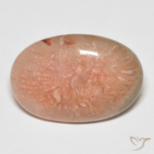 11.50ct Naturel Multicolore Corail, ovale, Translucide