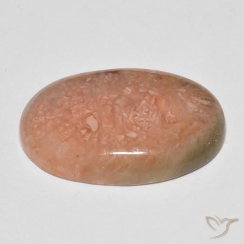 Corail Multicolore naturelle ovale, 11.50 ct, Translucide