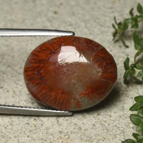 Corail Multicolore naturelle Coupe ovale, 12.59 ct, Opaque