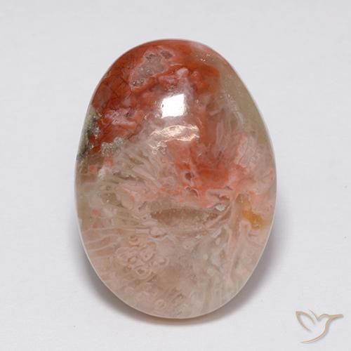 8.90ct Naturel Multicolore Corail, ovale, Opaque