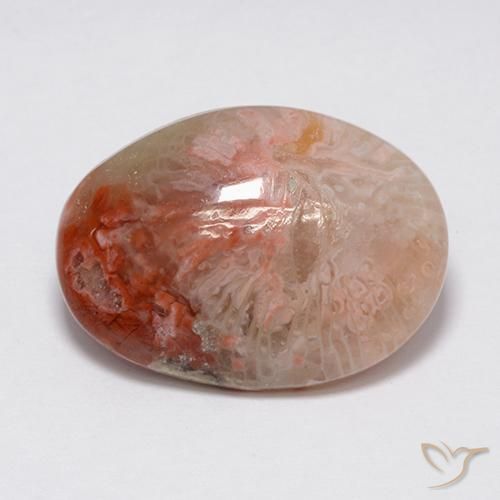 Corail Multicolore naturelle ovale, 8.90 ct, Opaque