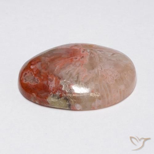 Corail Multicolore naturelle ovale, 8.90 ct, Opaque