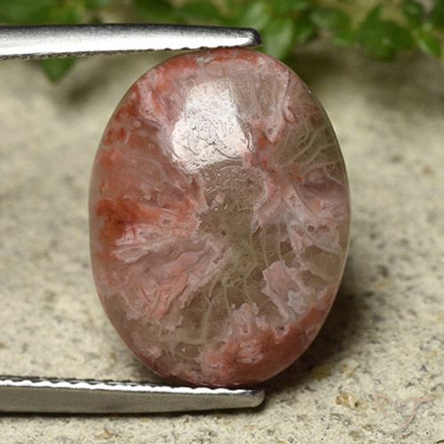 6.22ct Naturel Multicolore Corail, ovale, Opaque