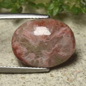 Corail Multicolore naturelle ovale, 6.22 ct, Opaque